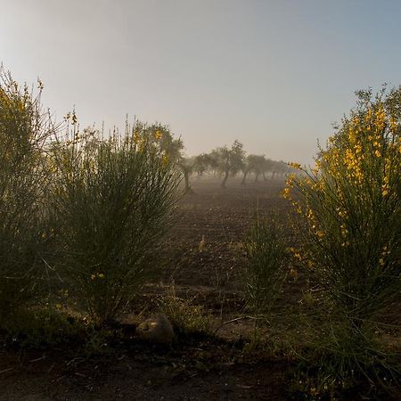 Casa Rural Valdezaque Cordobilla de Lácara Eksteriør billede