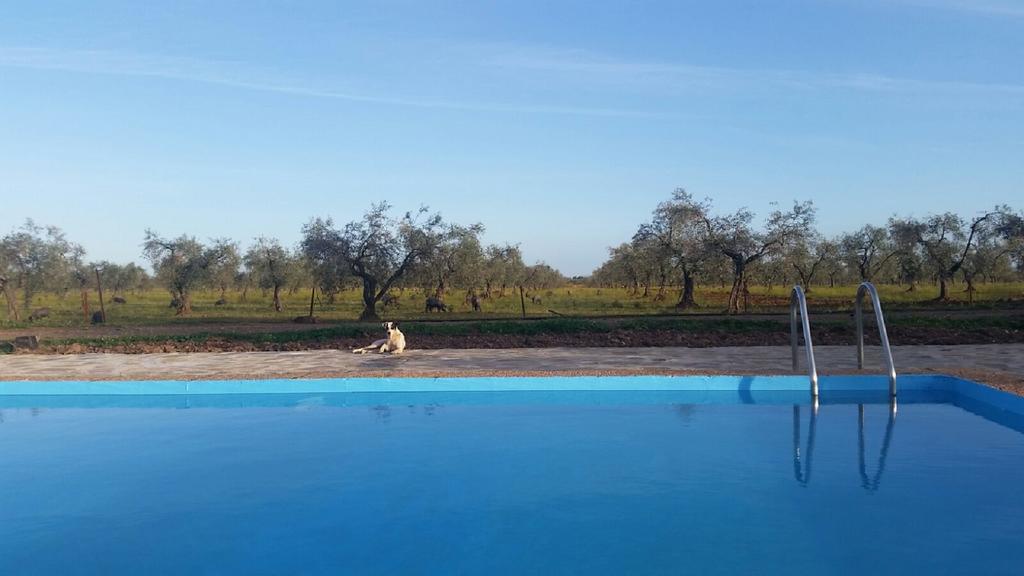 Casa Rural Valdezaque Cordobilla de Lácara Eksteriør billede