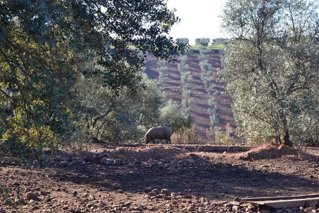 Casa Rural Valdezaque Cordobilla de Lácara Eksteriør billede