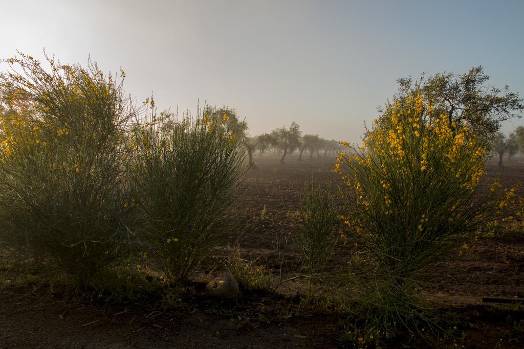 Casa Rural Valdezaque Cordobilla de Lácara Eksteriør billede